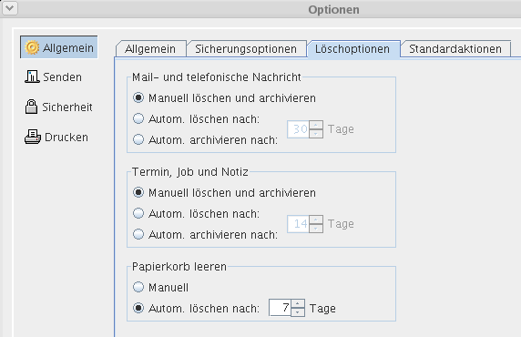 Dialogfeld "Umgebung", Register "Lschoptionen"