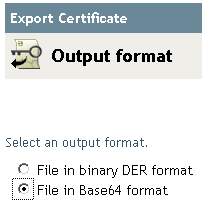 Beschreibung: Optionsfeld zum Festlegen des Ausgabeformats