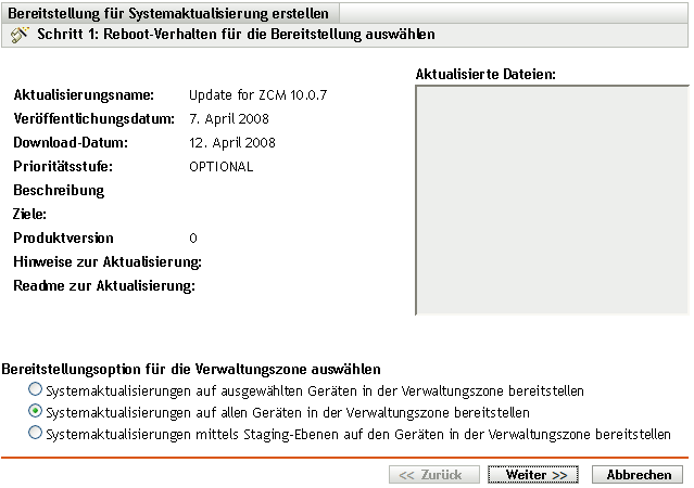 Assistentenseite "Option für Systemaktualisierung und Bereitstellung auswählen"