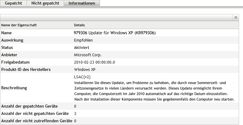 Seite „Informationen“ der Patch-Statistiken