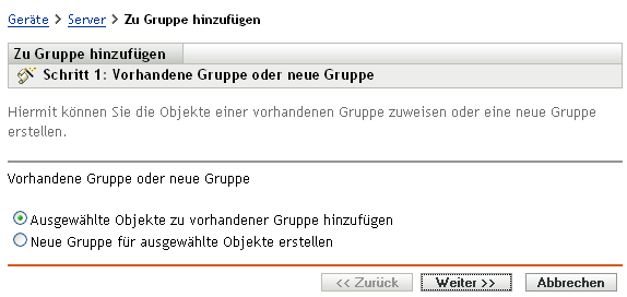 Assistent zum Hinzufügen zu einer Gruppe - Seite „Vorhandene Gruppe oder neue Gruppe“