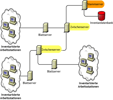 Der Zwischenserver mit den Blattservern der niedrigeren Ebenen und dem Stammserver der höchsten Ebene.