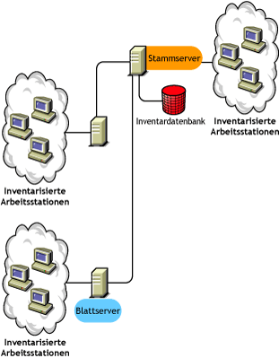 Der Stammserver der höchsten Ebene mit den verbunden inventarisierten Arbeitsstationen. Außerdem sind mehrere Blattserver mit diesem Stammserver mit inventarisierten Arbeitsstationen verknüpft.