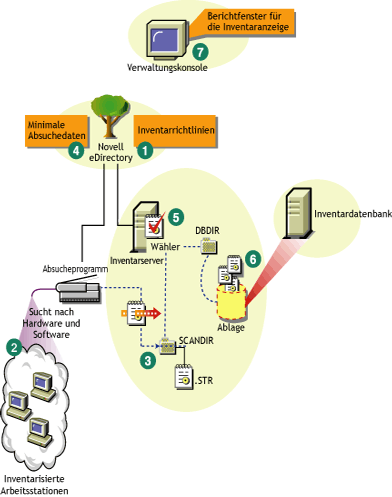 Inventarabsuchezyklus bei einem eigenständigen Server mit Arbeitsstationen, auf denen Novell Client installiert ist.