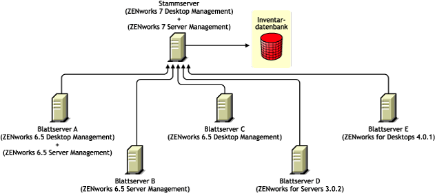 Blattserver mit verschiedenen Versionen von ZENworks, die ein Roll-up der Inventarinformationen auf den Stammserver mit ZENworks 7 Desktop Management und ZENworks 7 Server Management durchführen.