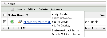 Karteireiter „Bundles“, Menü-Optionen unter „Aktion“