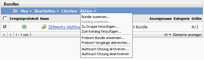 Karteireiter Bundles, Optionen des Menüs Aktion