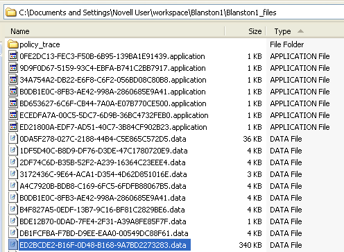 Identity Vault Base Schema