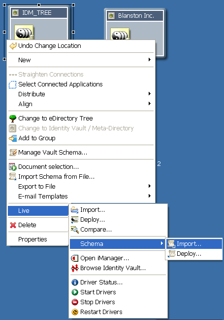 Importing schema into an Identity Vault