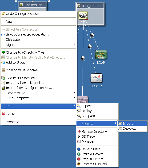 Importing schema into an Identity Vault