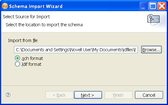 Options to import the schema from a file