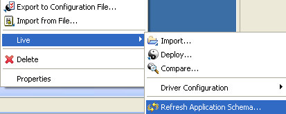 The Refresh Application Schema menu option