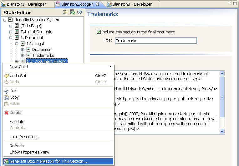 Generating Documentation for a Section