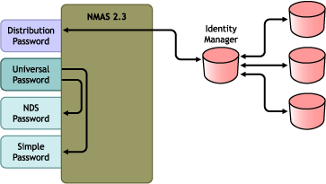 Scenario 4