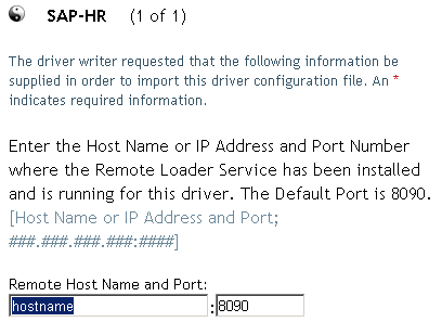 Edit boxes to type a remote host name and port