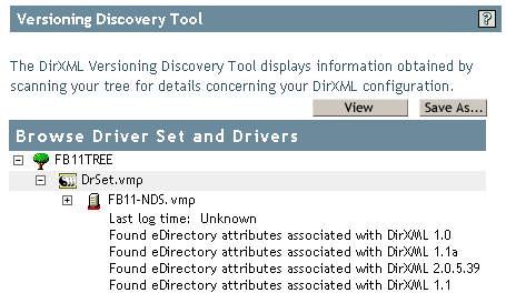 Versioning information in an expanded server icon