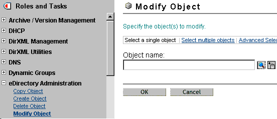 The Modify Object option