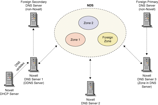 Novell Server as a Primary DNS Server