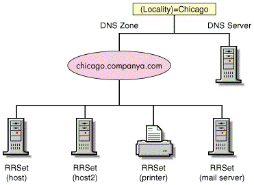 DNS Zone