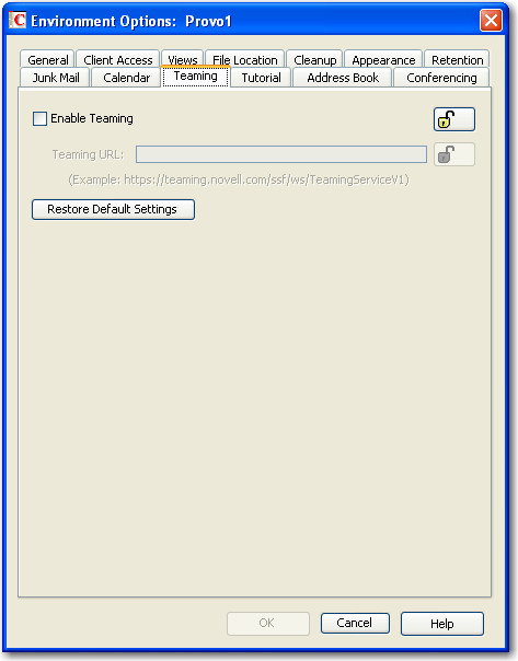 Teaming Environment Options dialog box