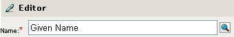Given Name attribute in the editor