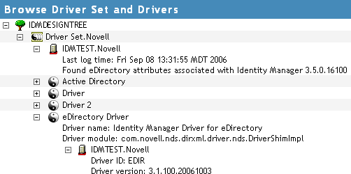 Versioning information in an expanded driver icon