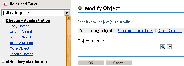 The Modify Object option