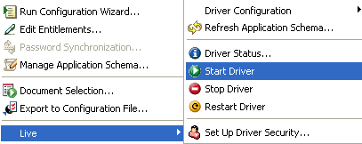 Starting the driver in Designer