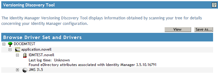 Versioning Information in an Expanded Server Icon