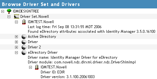 Versioning information in an expanded driver icon