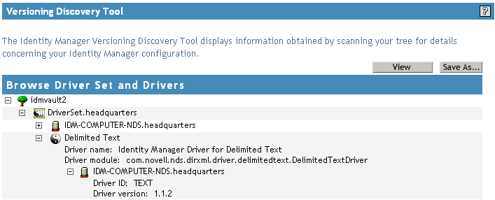 Versioning Information in an Expanded Driver Icon