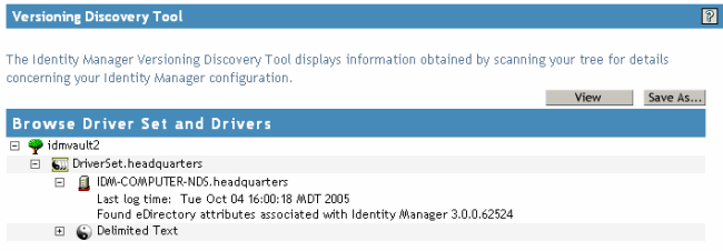 Versioning Information in an Expanded Server Icon