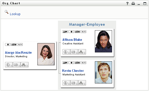 A User's Default Log-In Organization Chart