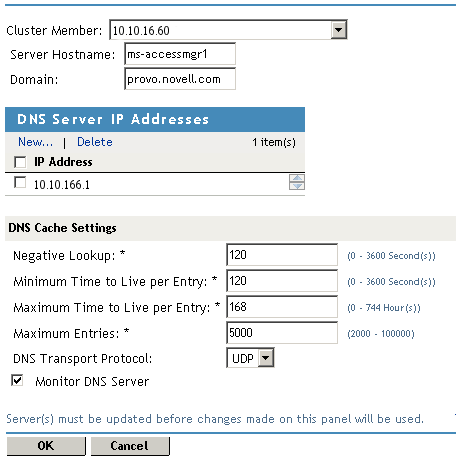 Configuring DNS settings