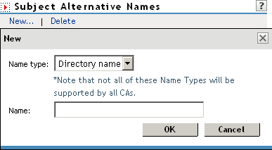 Subject alternative names