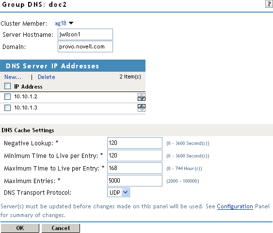 Configuring DNS settings