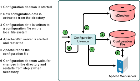 How the configuration daemon processes Apache configurations with the directory.