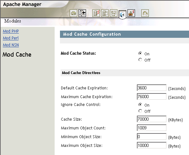 Mod Cache page