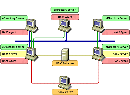 Describes the NAAS Framework