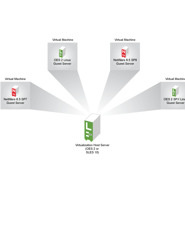 Virtualization in OES 2