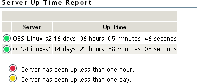 Example Server Up Time Report