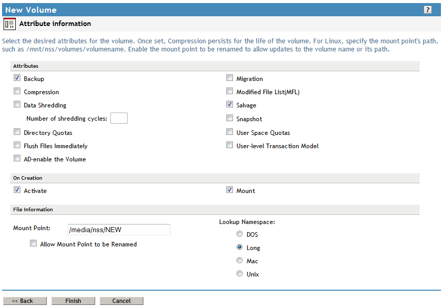 Sample Attribute Information Page from the New Volume Wizard on NetWare