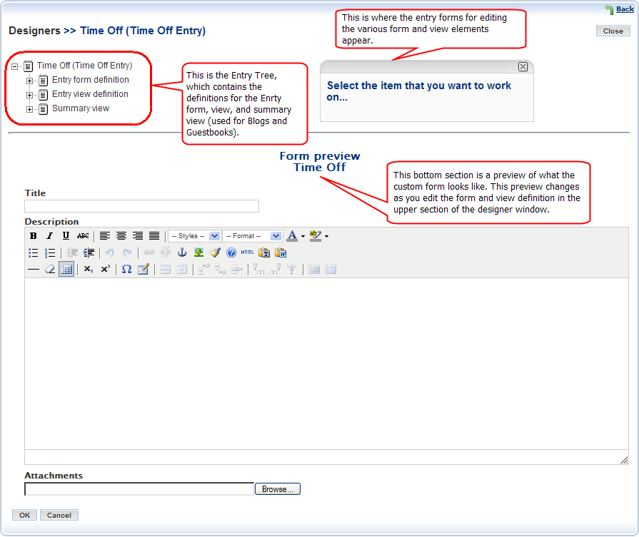 Entry designer editing window