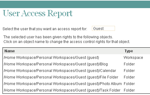 User Access Report page