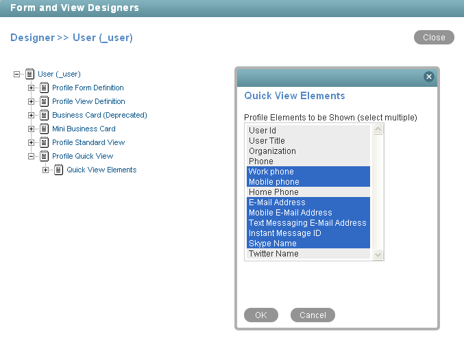 Form and View Designers page with User Window 