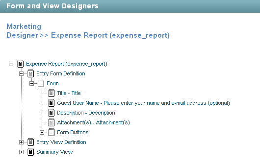 Entry Form Definition Elements