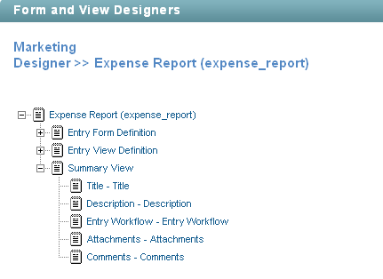 Summary View Definition Elements