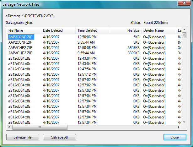 Salvage Novell Directory Files Dialog Box