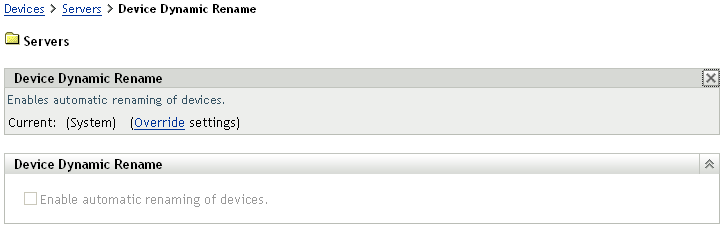 Device Dynamic Rename page