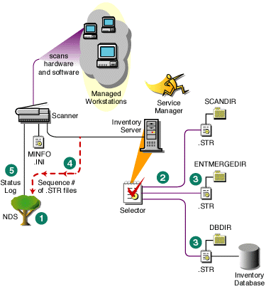 The Selector receives scan data files, checks them for validity, copies them to a directory, and logs the status.